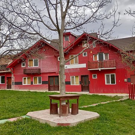 Pensiunea Irina 3 Zărneşti Екстериор снимка