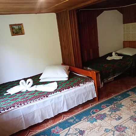 Pensiunea Irina 3 Zărneşti Екстериор снимка