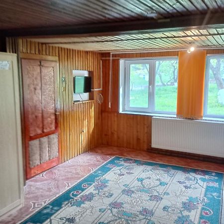 Pensiunea Irina 3 Zărneşti Екстериор снимка