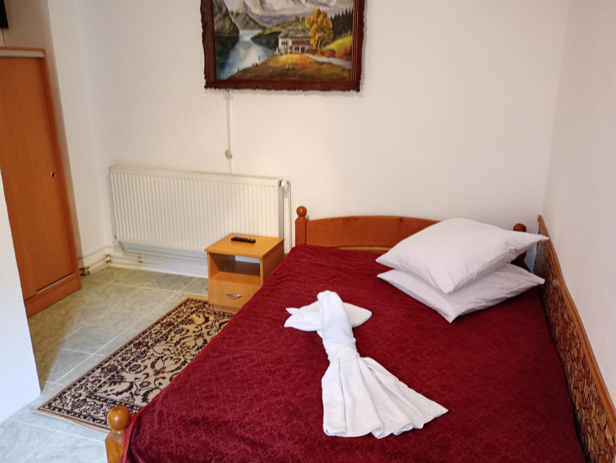 Pensiunea Irina 3 Zărneşti Екстериор снимка