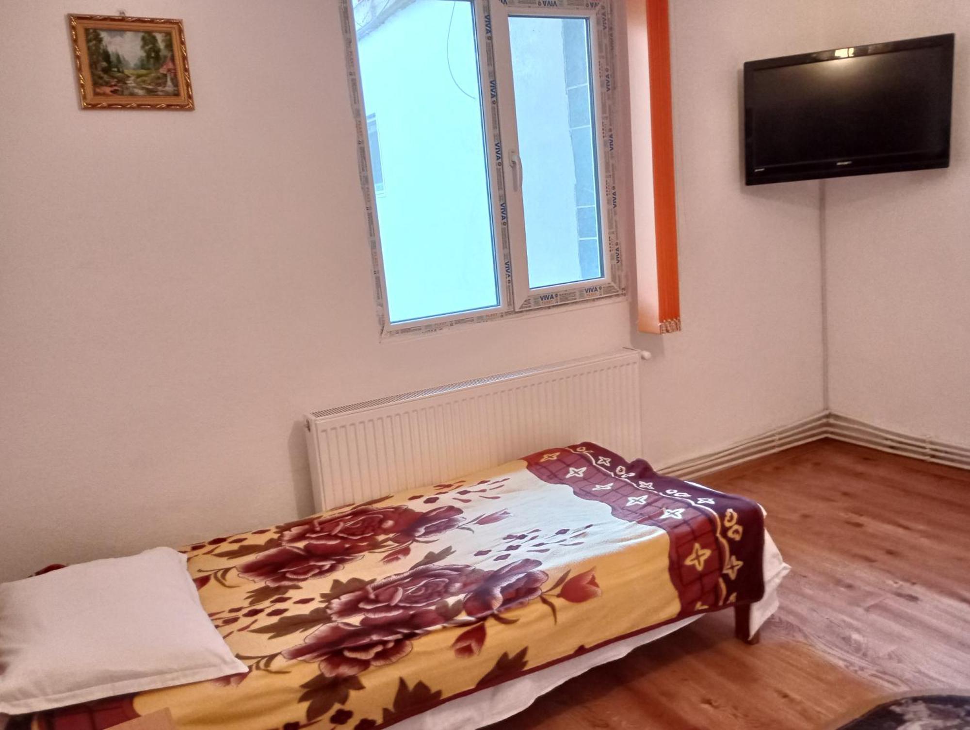 Pensiunea Irina 3 Zărneşti Екстериор снимка