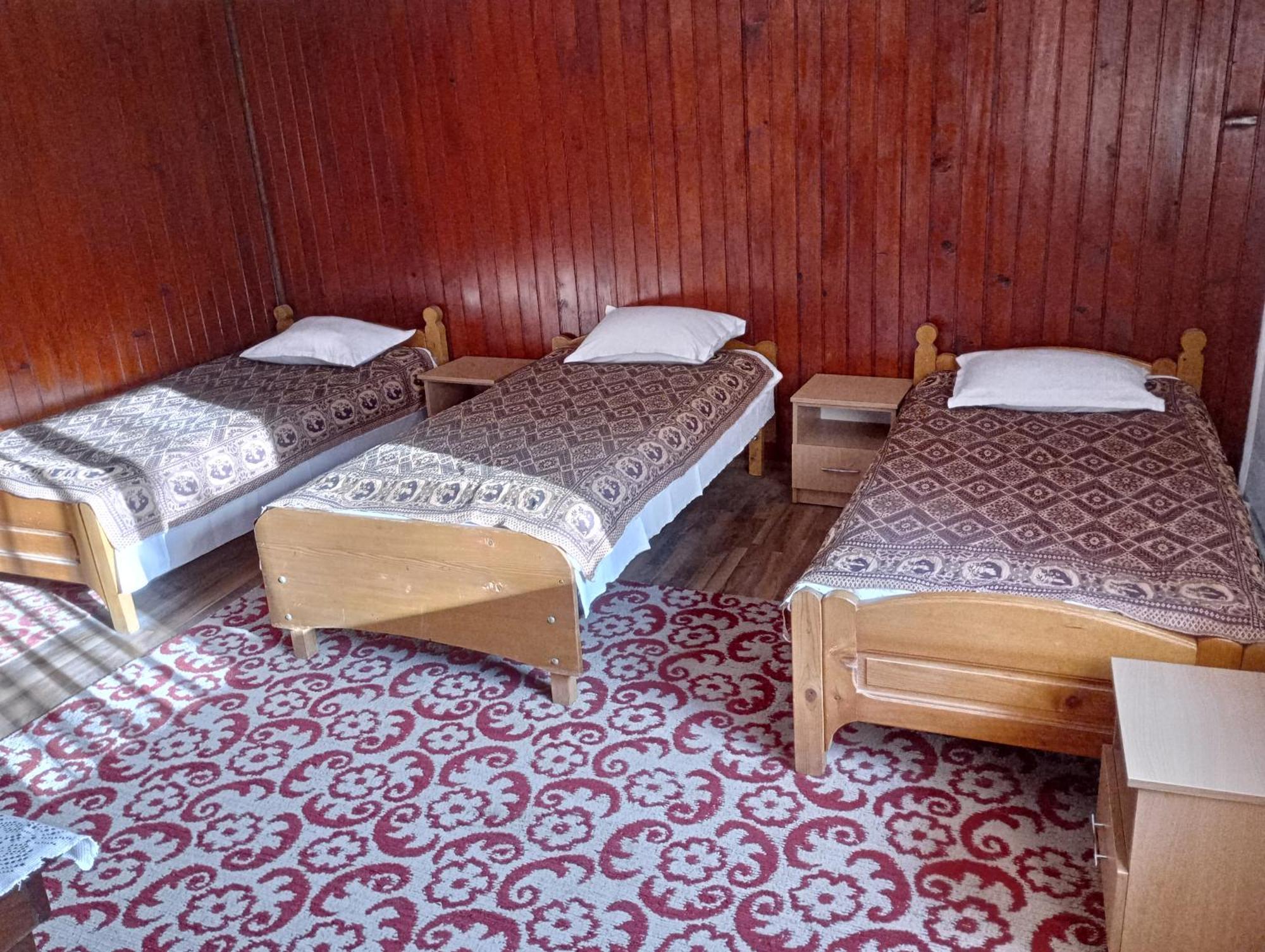 Pensiunea Irina 3 Zărneşti Екстериор снимка