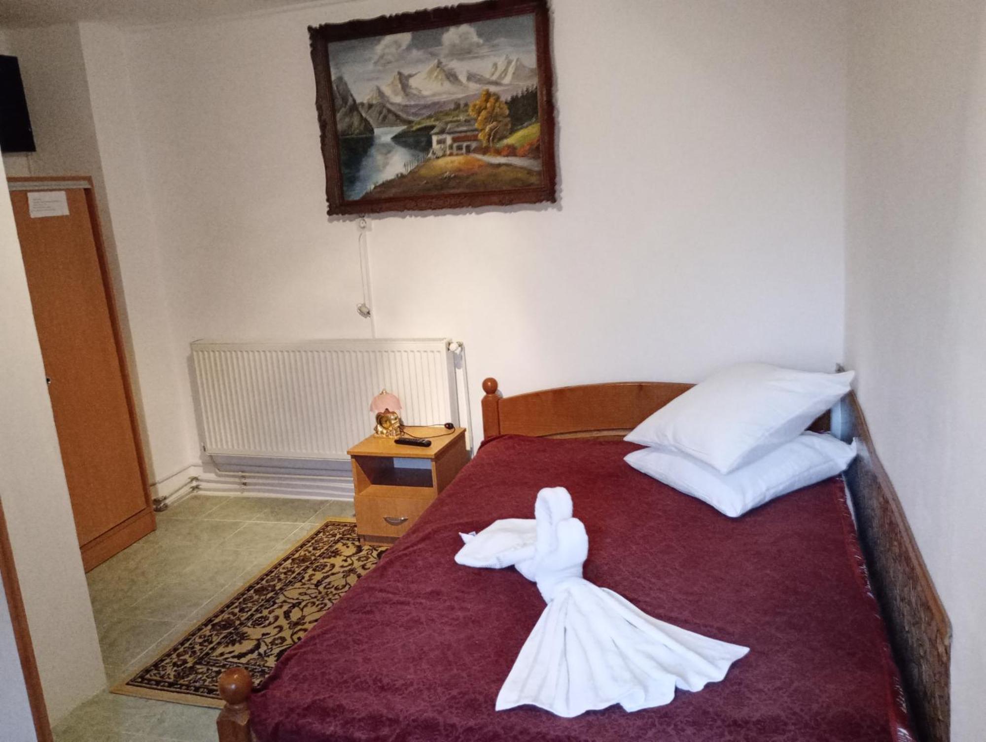 Pensiunea Irina 3 Zărneşti Екстериор снимка