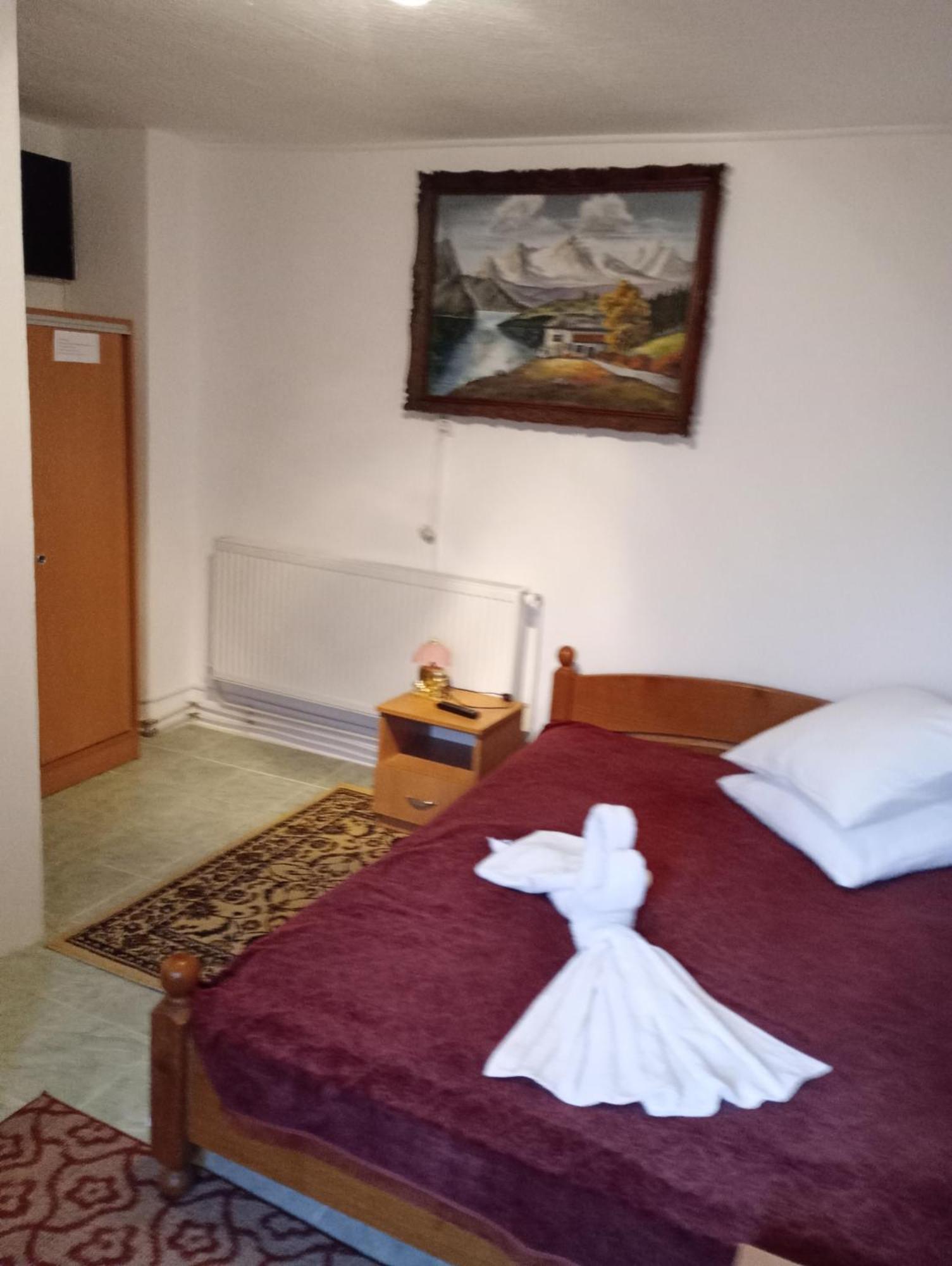 Pensiunea Irina 3 Zărneşti Екстериор снимка