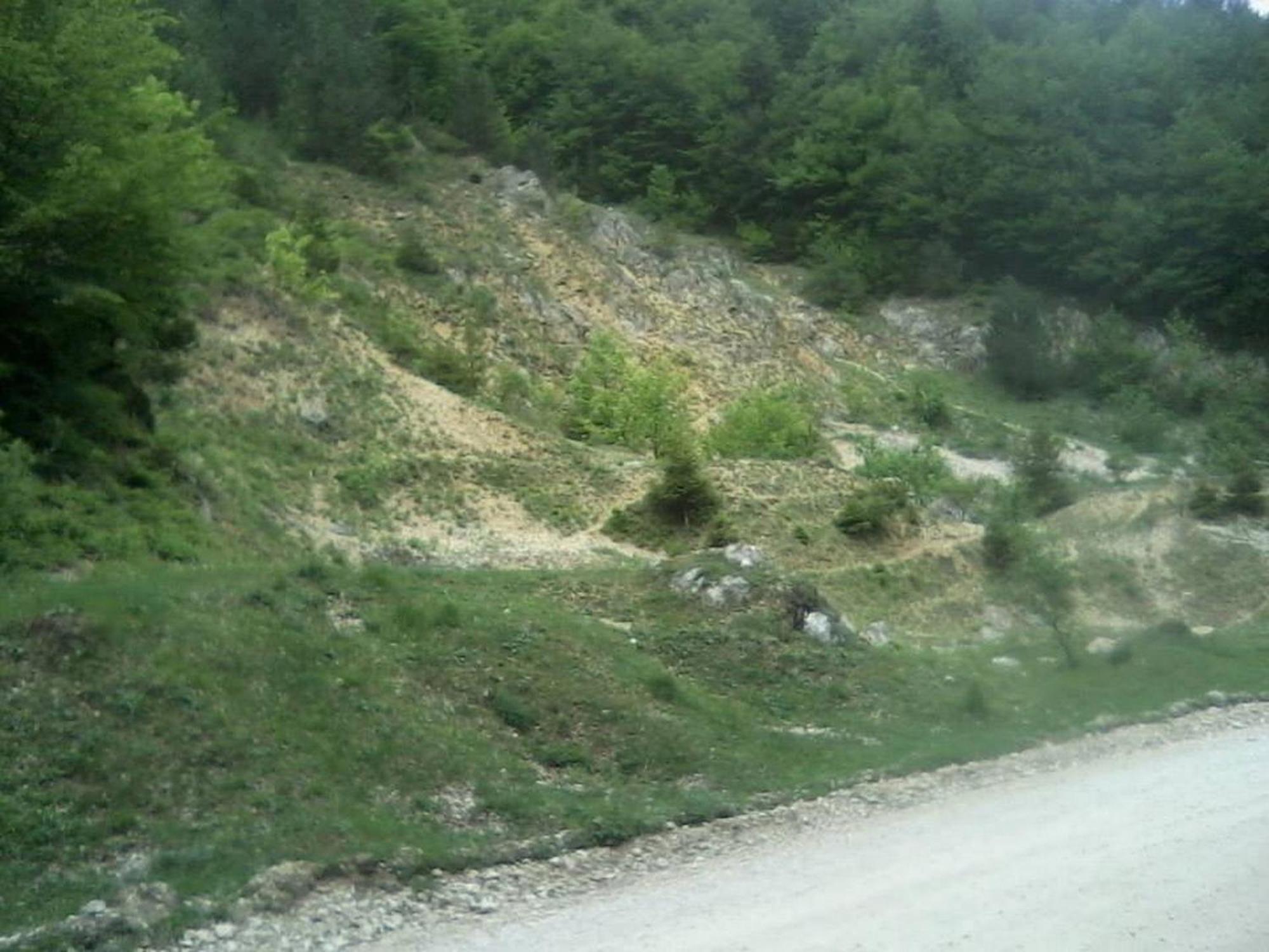 Pensiunea Irina 3 Zărneşti Екстериор снимка
