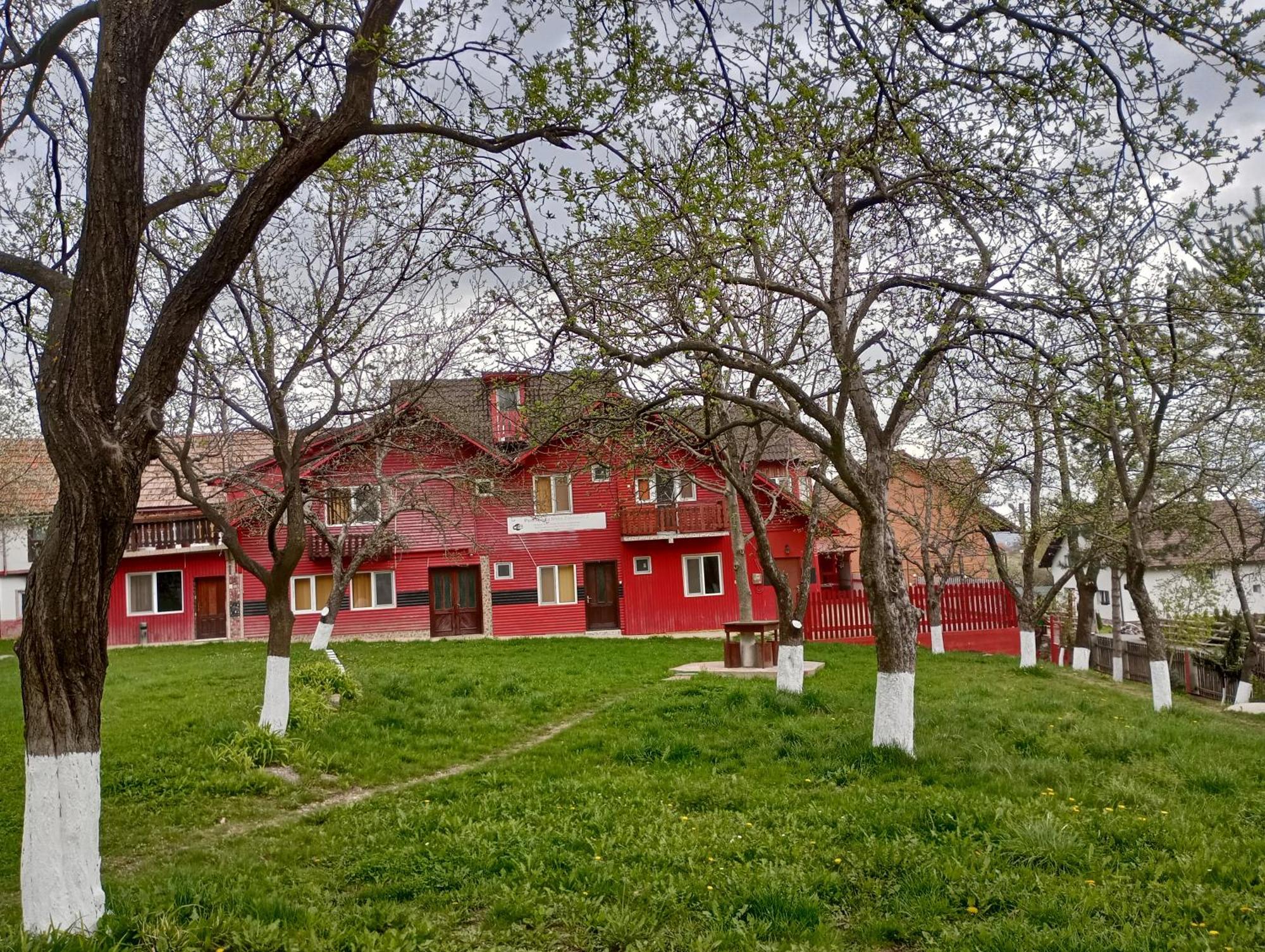 Pensiunea Irina 3 Zărneşti Екстериор снимка