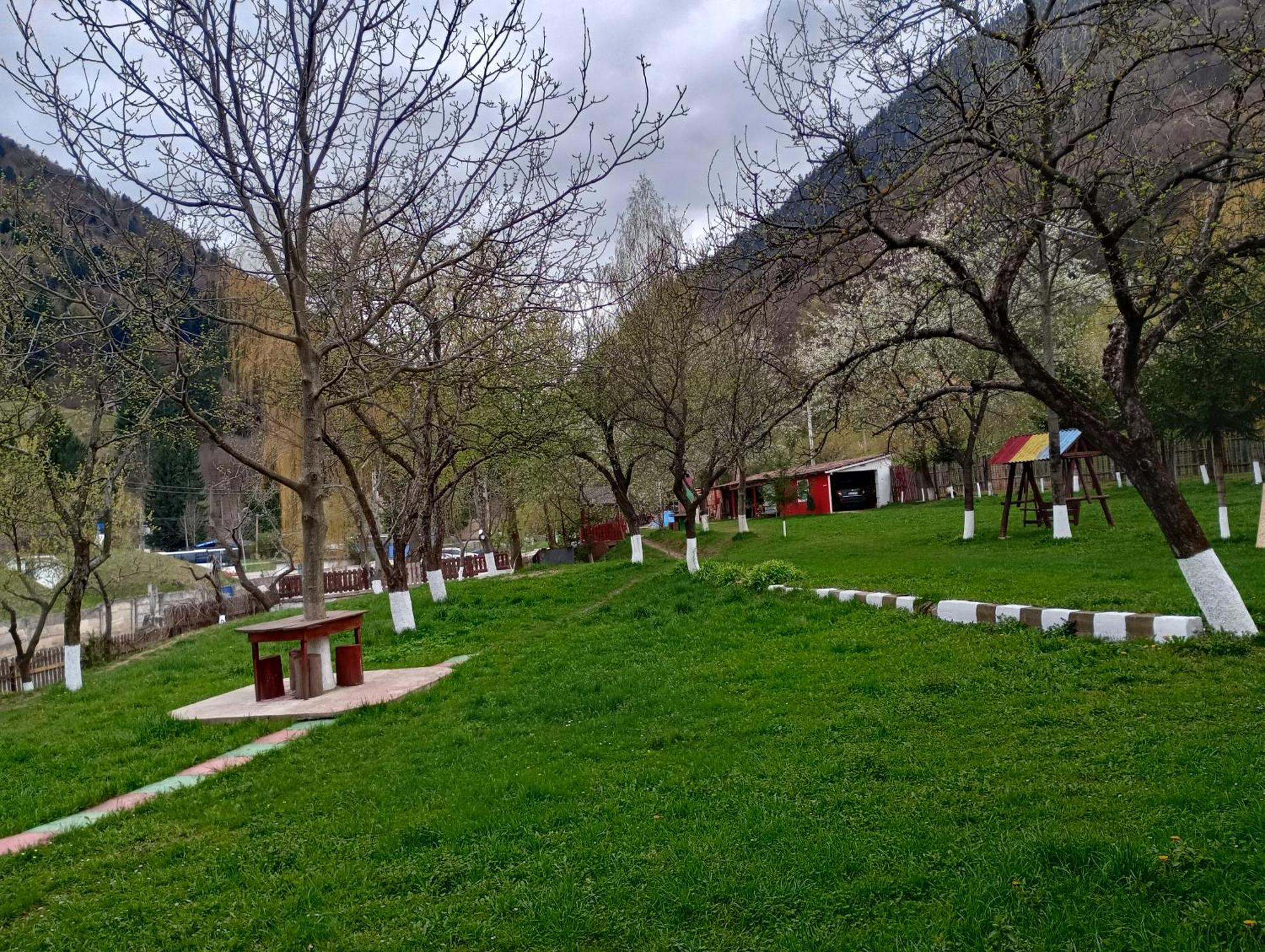 Pensiunea Irina 3 Zărneşti Екстериор снимка